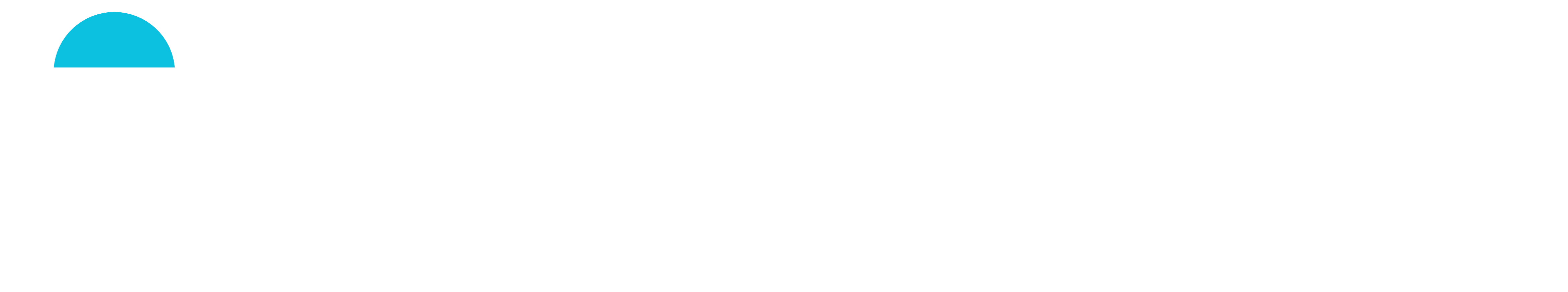 Logo TM